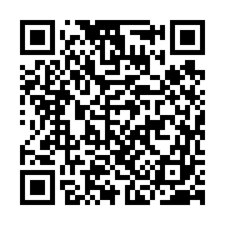 QR code for IC9663