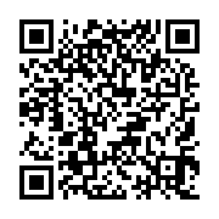 QR code for IC9911
