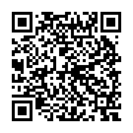 QR code for ID0294