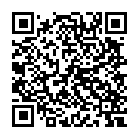 QR code for ID0447