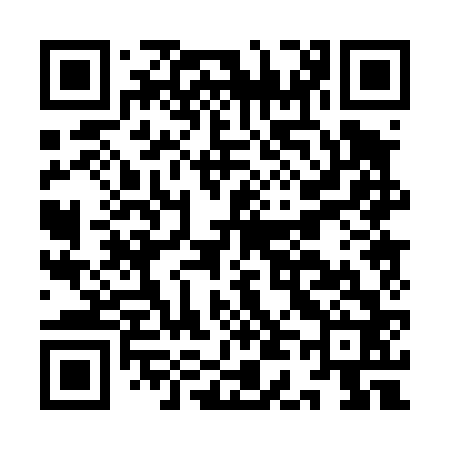 QR code for ID0462