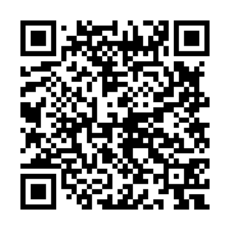 QR code for ID2870