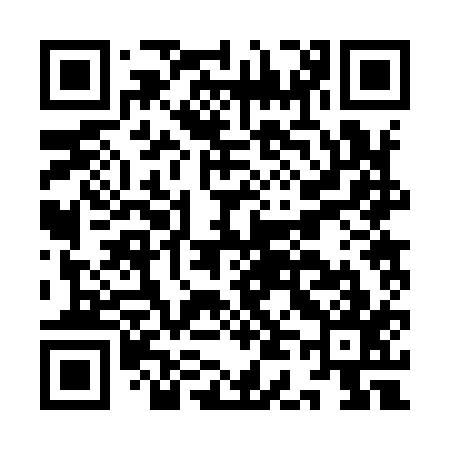 QR code for ID2917