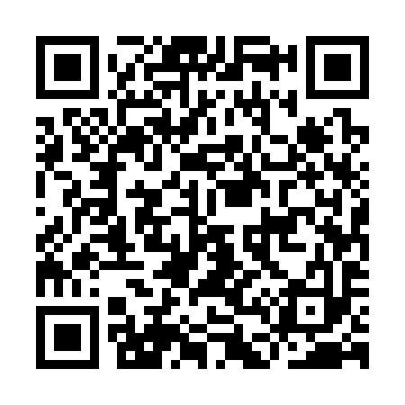 QR code for ID5393