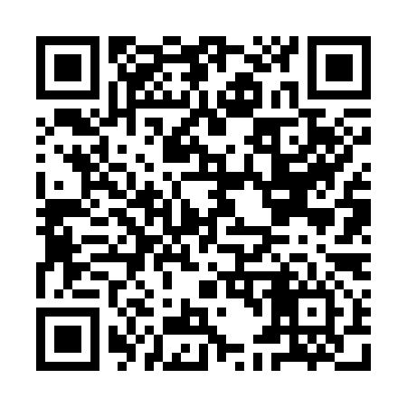 QR code for ID6396