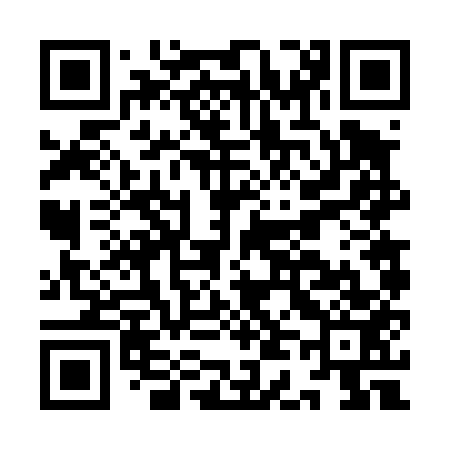 QR code for ID6453