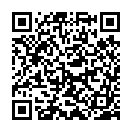 QR code for ID6663