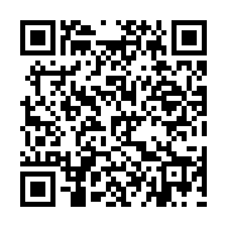 QR code for ID8228