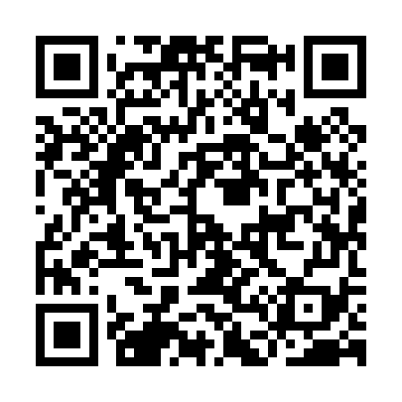 QR code for ID9079