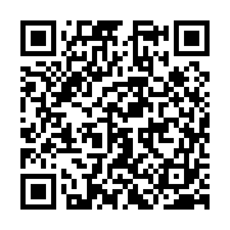 QR code for ID9173