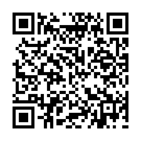 QR code for ID9381