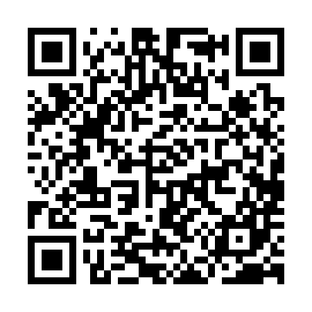 QR code for IE0387