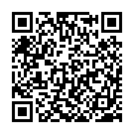 QR code for IE2213