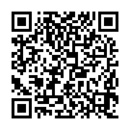 QR code for IE2993