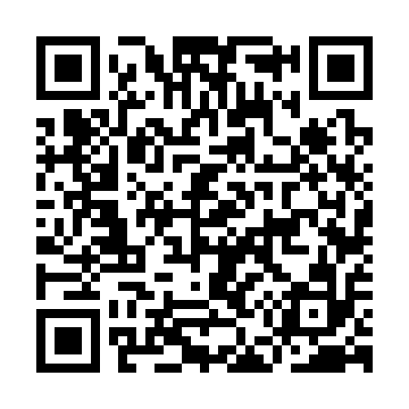 QR code for IE6312