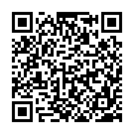 QR code for IE6316
