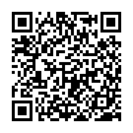 QR code for IE9203