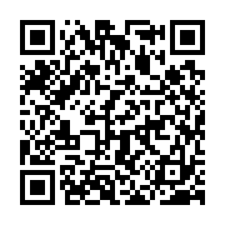 QR code for IE9733