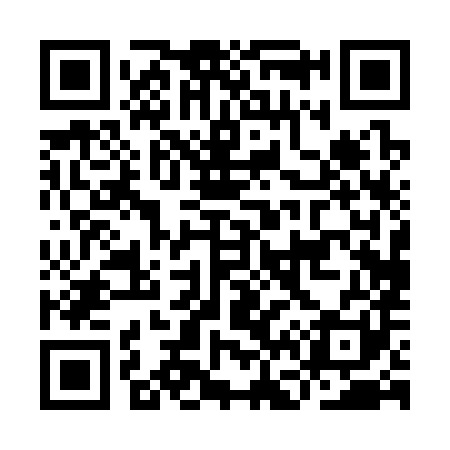 QR code for IF0381