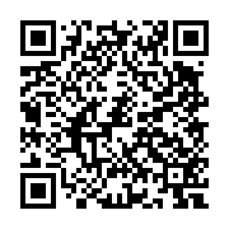 QR code for IG0453