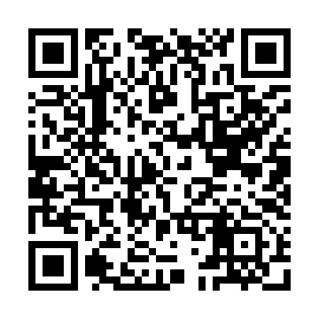 QR code for IG1993