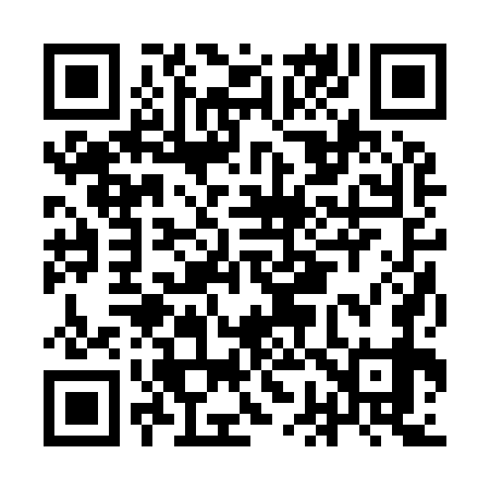 QR code for IG2979