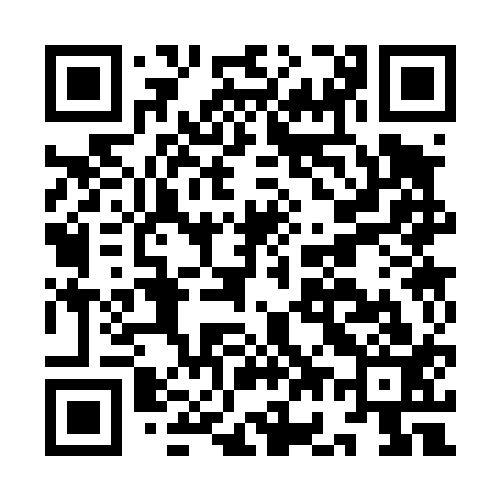 QR code for IG3413