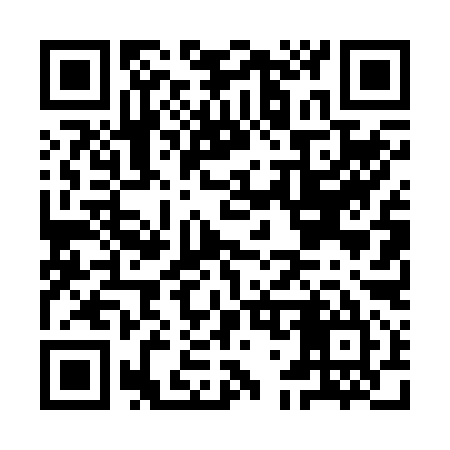 QR code for IG4295