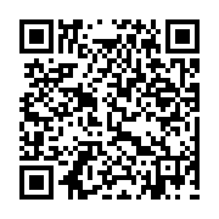 QR code for IG6384