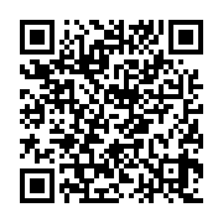 QR code for IG6539