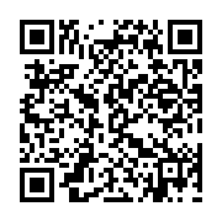 QR code for IG8382