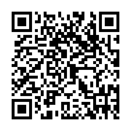 QR code for IG8393