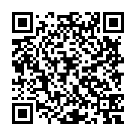 QR code for IG8838