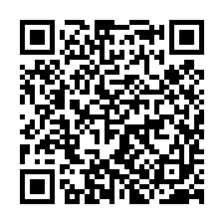 QR code for IH9493