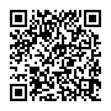 QR code for II6383