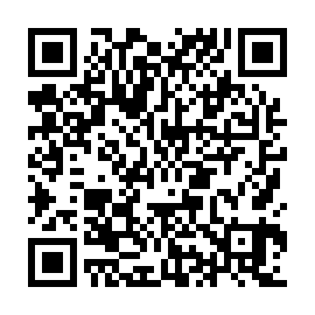 QR code for II8161