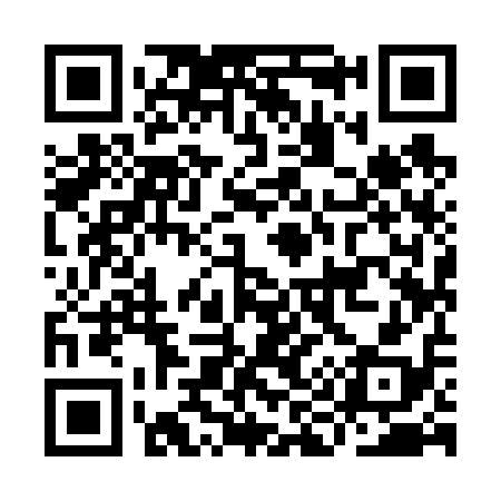 QR code for II9618