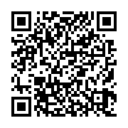 QR code for II9729
