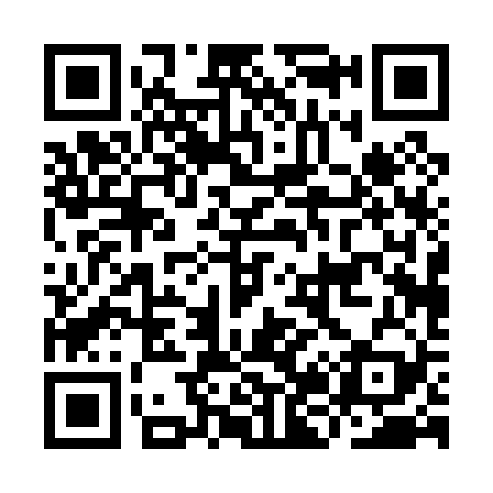 QR code for IJ0029