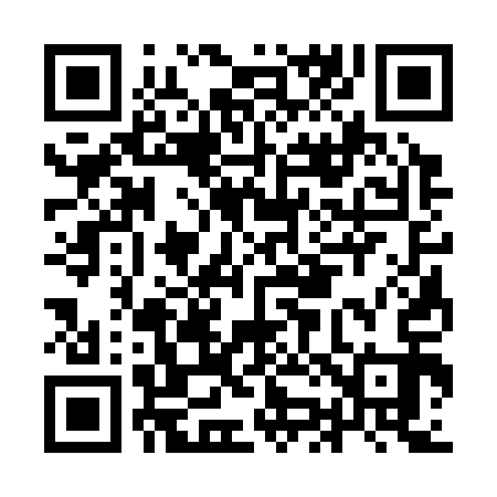 QR code for IJ3313