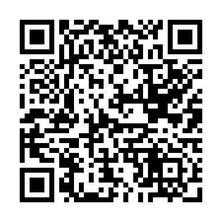 QR code for IJ6313