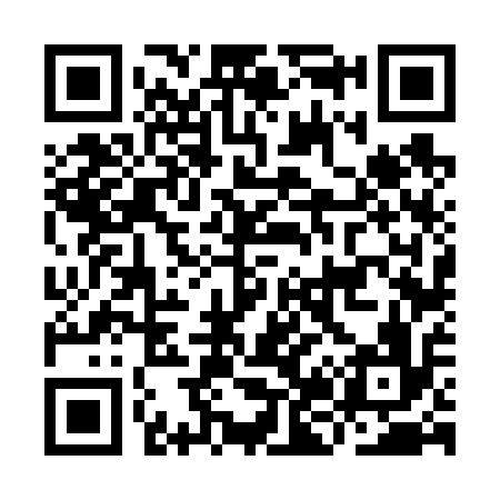 QR code for IJ6616