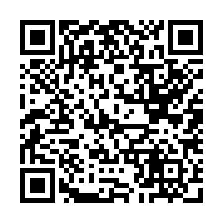 QR code for IJ7381