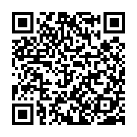 QR code for IJ9508