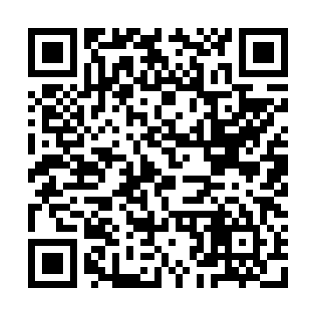 QR code for IJ9685