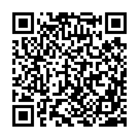 QR code for IK2666