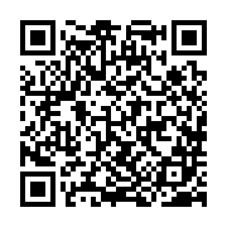 QR code for IK8382