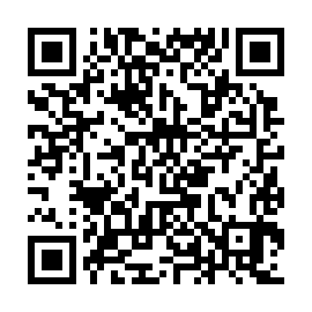 QR code for IL6383