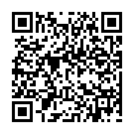 QR code for IL6393