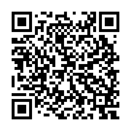 QR code for IM0382